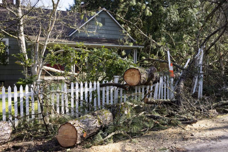 Dogwood Tree Removal in Aiken, SC