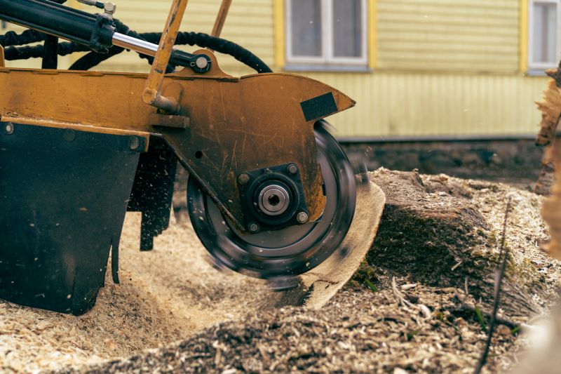 Stump Grinding Service in Aiken, SC
