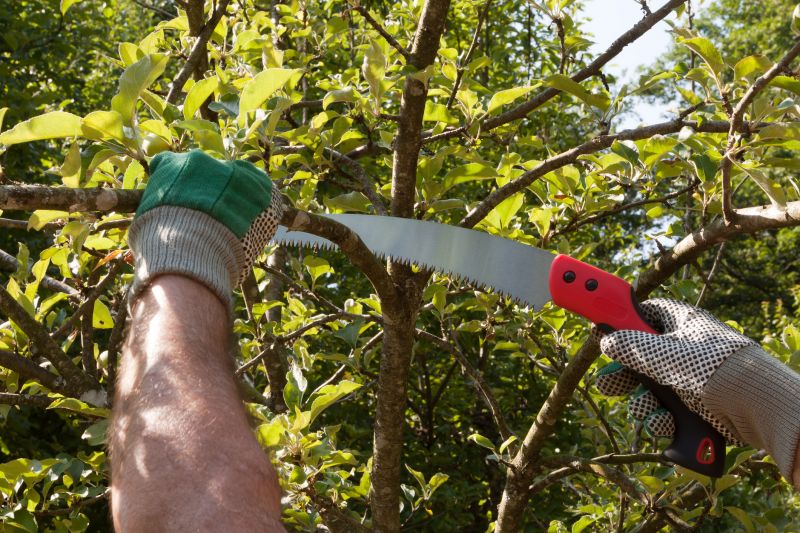 Pruning Dead Branches